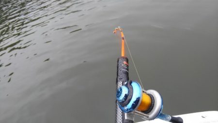 今期初ワカサギ