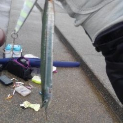 ショアジギボウズ