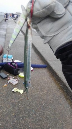 ショアジギボウズ