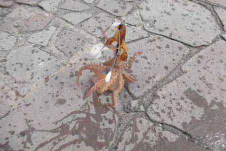 スナダコオクトパッシング