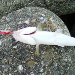 〇〇がいるだけで．．．