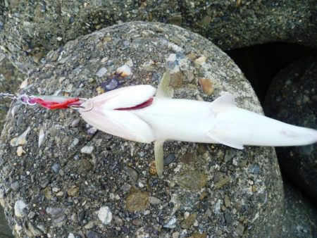 〇〇がいるだけで．．．