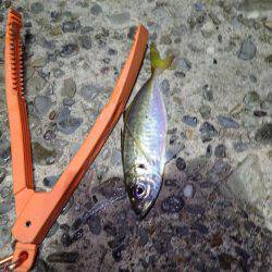 最後に強烈な当たり！