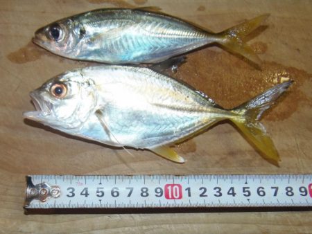 強風と濁流海水