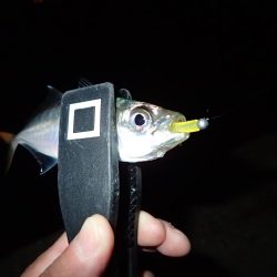 仕事終わりにサクッと！