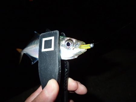 仕事終わりにサクッと！