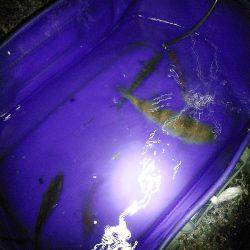 家族でファミリーフィッシング！