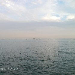 のませでハマチゲット！