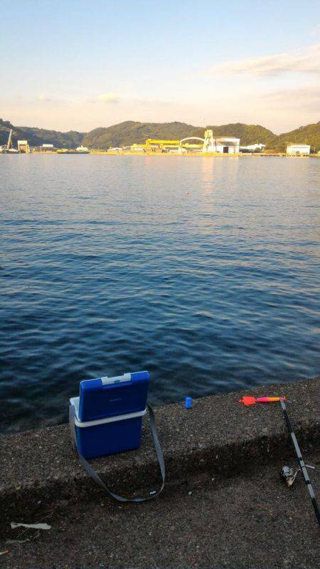 ちょいなげサビキ