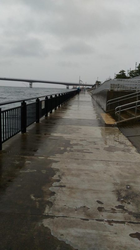 いとこの初めて