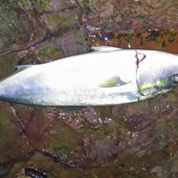 爆風吹く夜明け