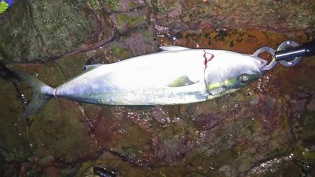 爆風吹く夜明け