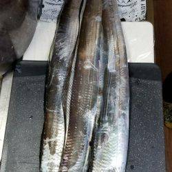 家族で南芦屋浜