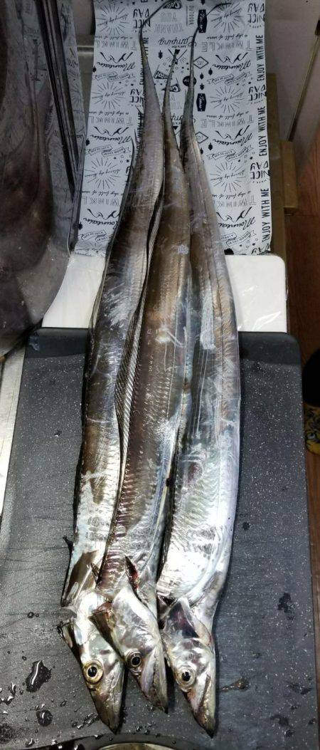 家族で南芦屋浜