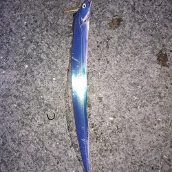 ひっさしぶりのー