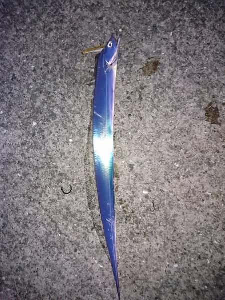 ひっさしぶりのー