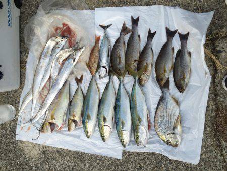 浜吉丸でいく小浦一文字7