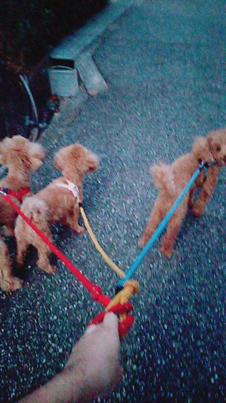 久しぶりの釣りなので、