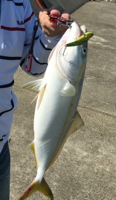 久しぶりの武庫川一文字