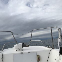 英虞湾内での釣行