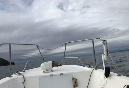 英虞湾内での釣行