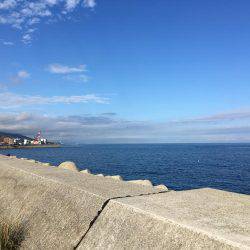 ダメな日でした