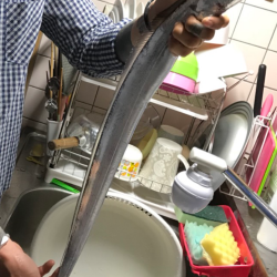 タチウオ初心者