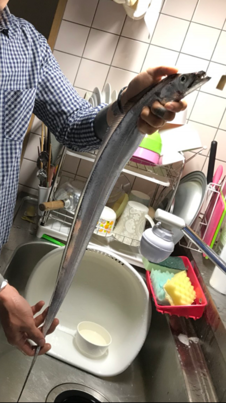 タチウオ初心者