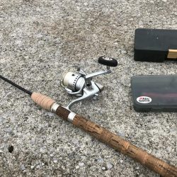 可愛そうなイワシたち