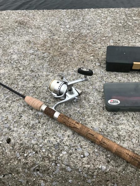 可愛そうなイワシたち