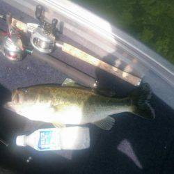 ２度目のバス釣り