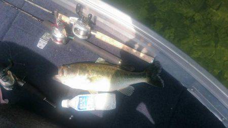 ２度目のバス釣り