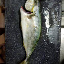 家族で南芦屋浜