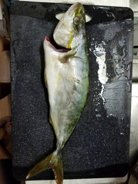 家族で南芦屋浜