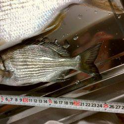 10月なのに暑い