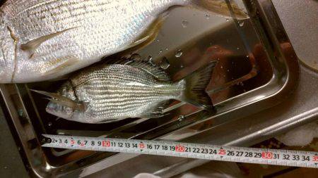 10月なのに暑い