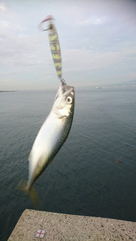 雨上がりの朝は？