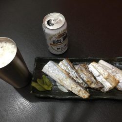 アオリからのタチウオ