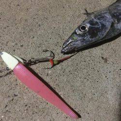 制限時間は30分お手軽ワインド！