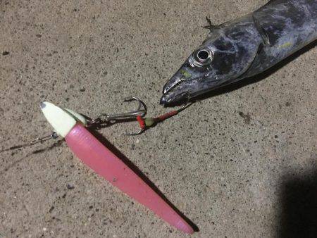 制限時間は30分お手軽ワインド！