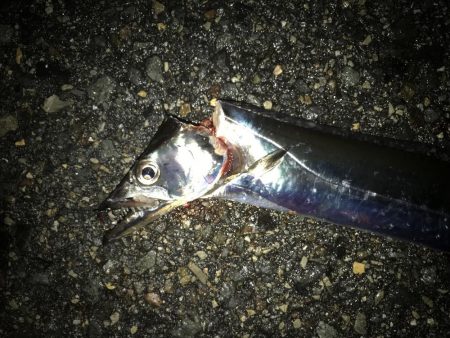 タチウオ専用ロッド