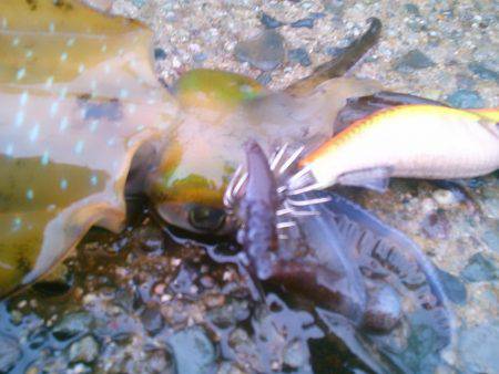 走る～　走る～♪