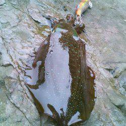 なんか～雨多いな～！