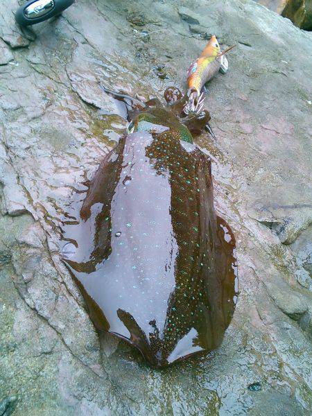 なんか～雨多いな～！