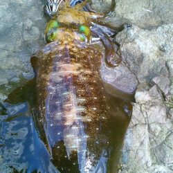 台風後なんとか？