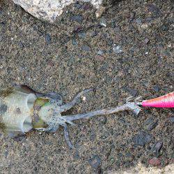 どしゃ降りの雨の中