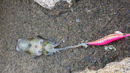どしゃ降りの雨の中