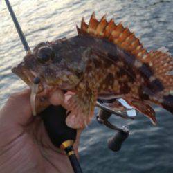 清掃活動に参加