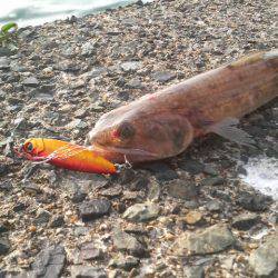 どこにお出かけですか?