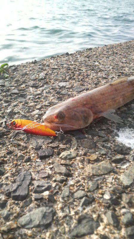 どこにお出かけですか?